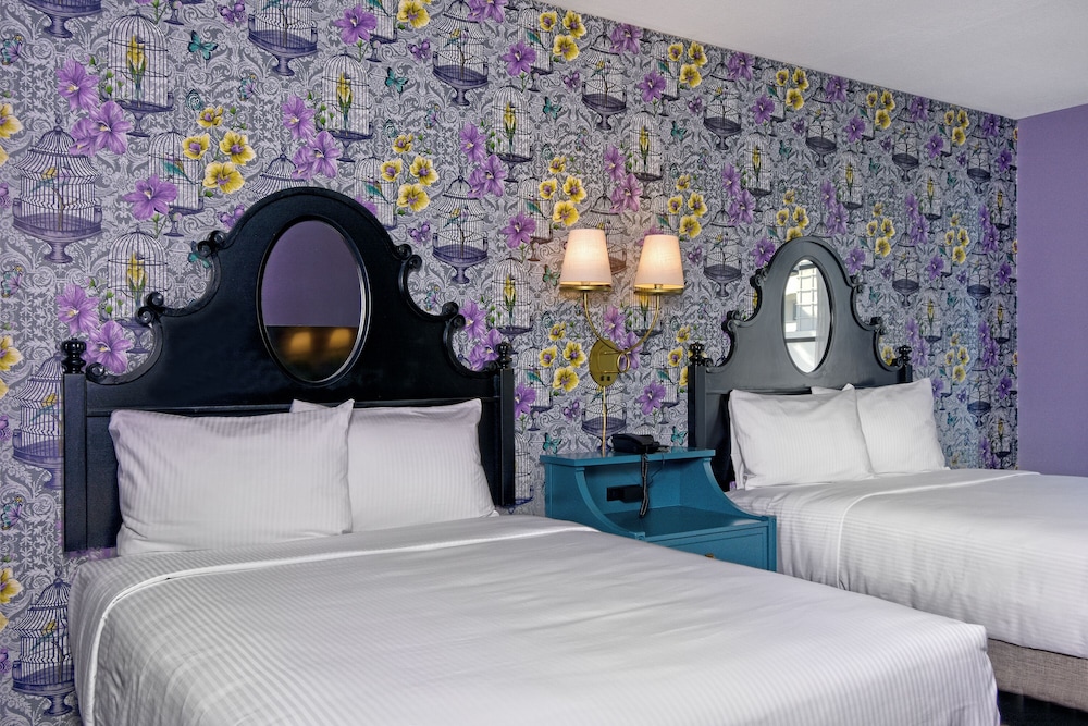 Hotel Fiona — Hotel rooms in San Francisco, California