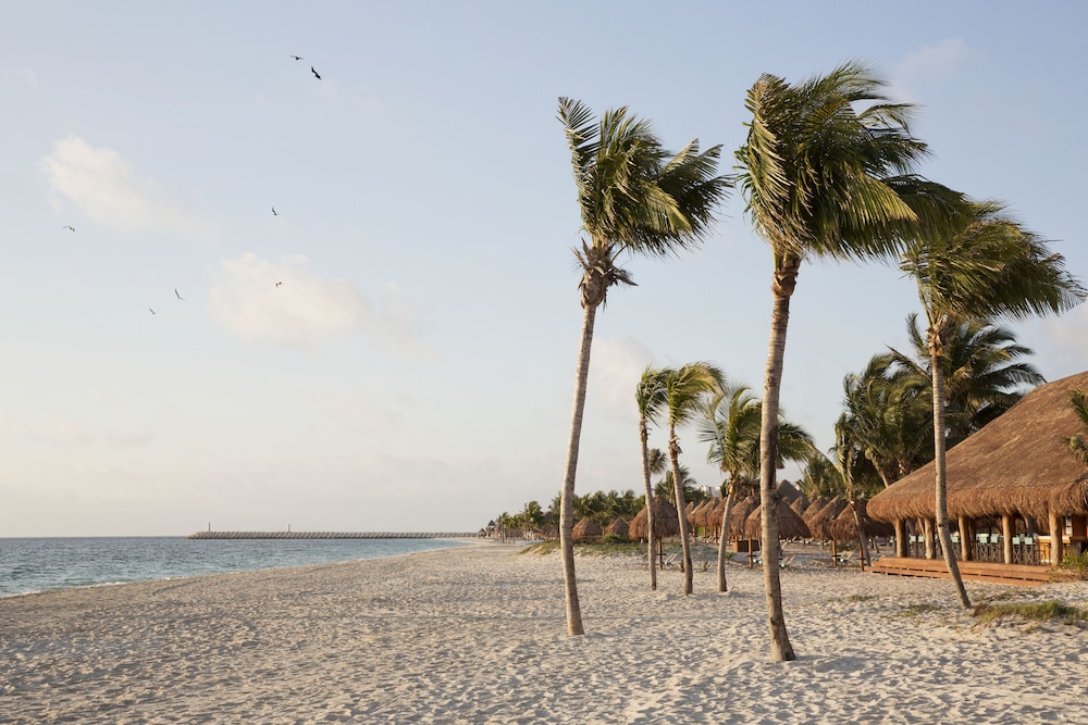 Finest Playa Mujeres by The Excellence Collection - All Inclusive — Beach in Playa Mujeres, Quintana Roo