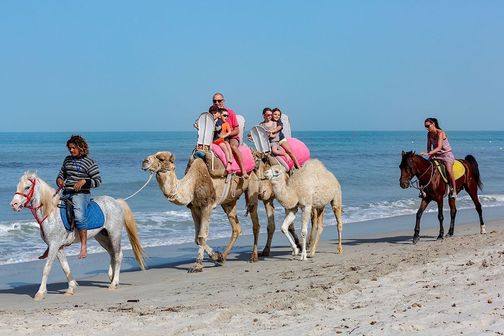 Palm Beach Club Djerba — Beach in Midoun, Medenine