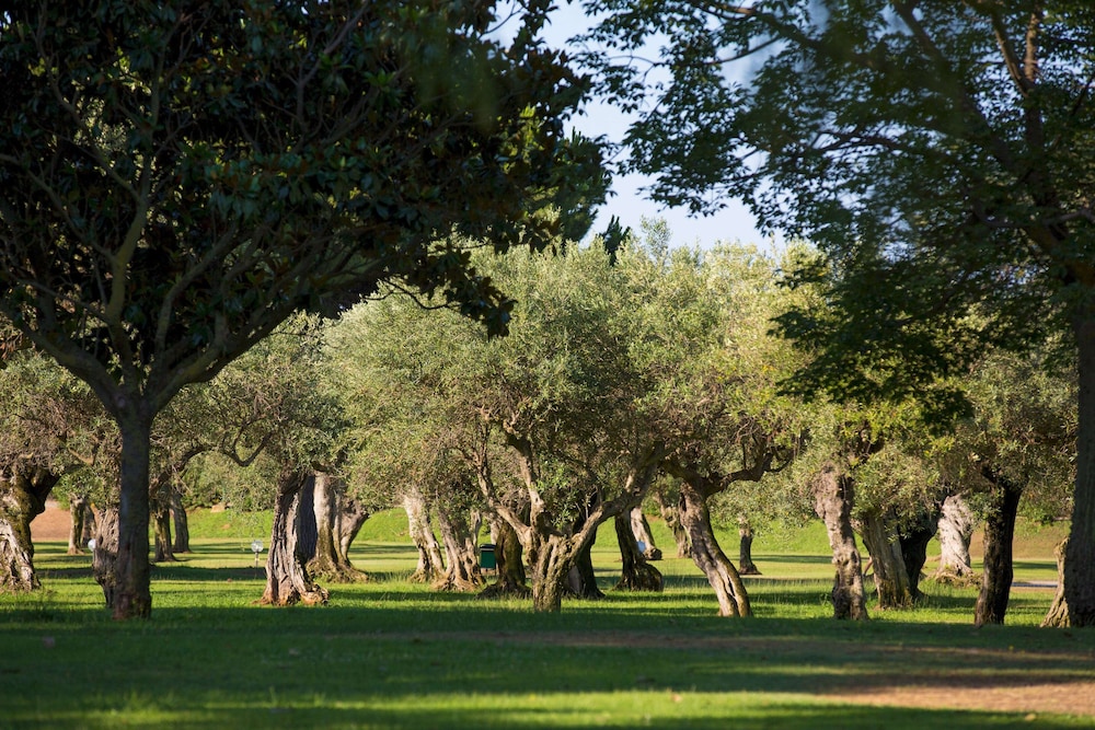 MClub Lipari — Attractions in the area in Sciacca, Sicily