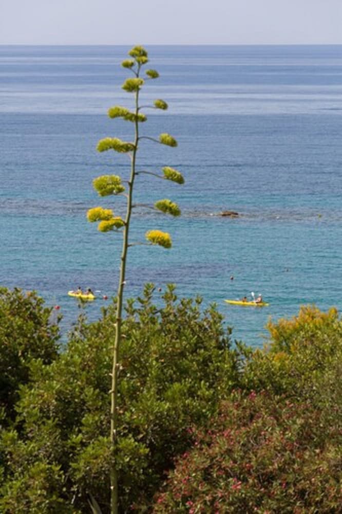 MClub Lipari — Attractions in the area in Sciacca, Sicily