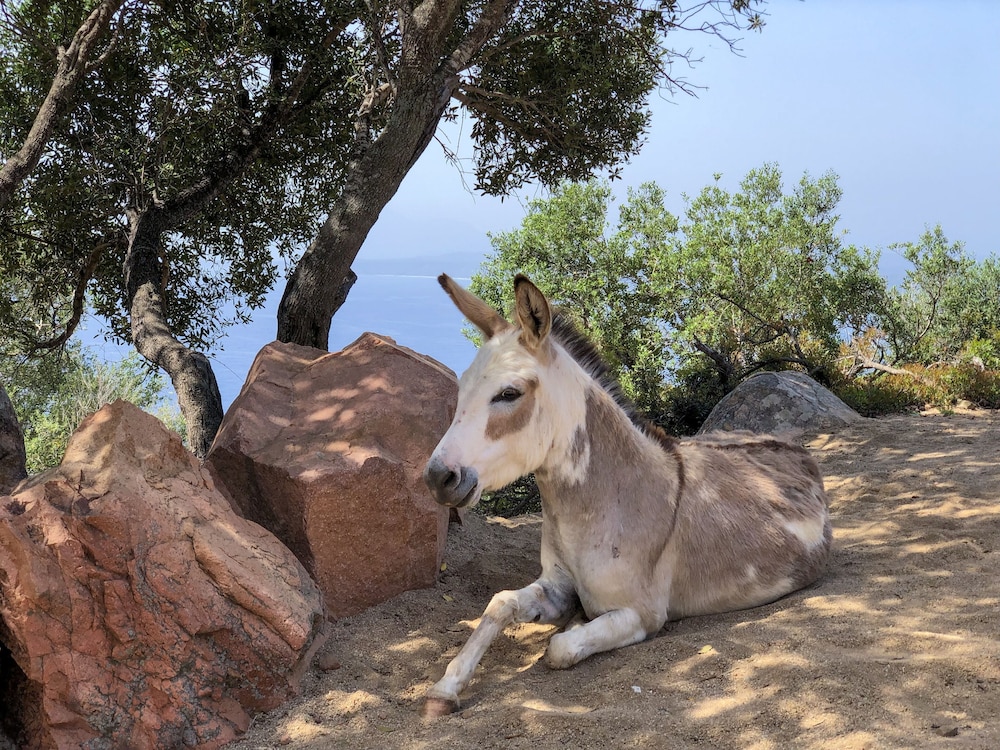 Arbatax Park Resort - Dune by Falkensteiner — Attractions in the area in Tortoli, Sardinia