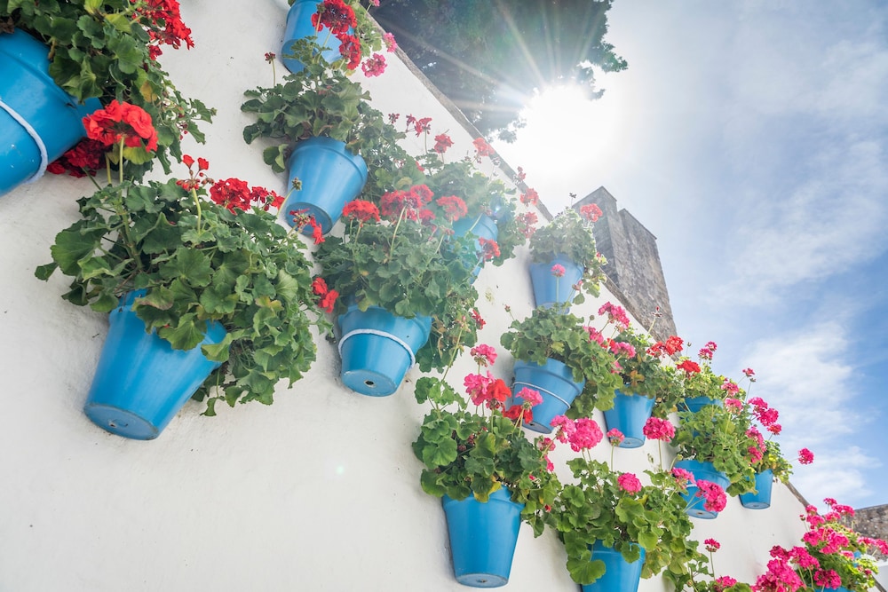 Obal Hotel Marbella — Attractions in the area in Marbella, Andalusia