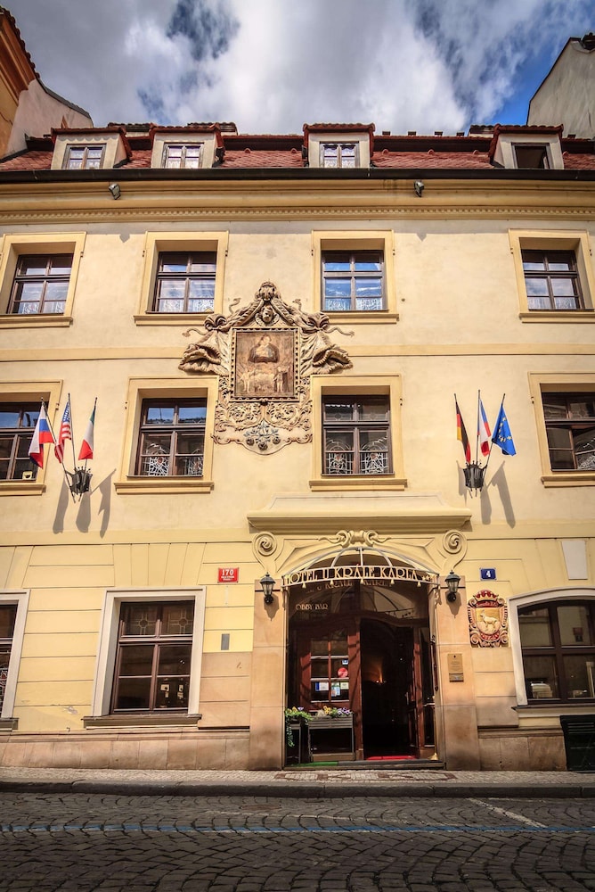 The King Charles - zdjęcie 2