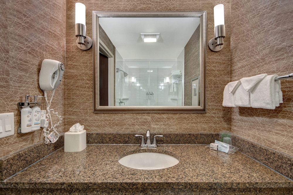 Holiday Inn Detroit Metro Airport by IHG — Hotel rooms in Romulus, Michigan