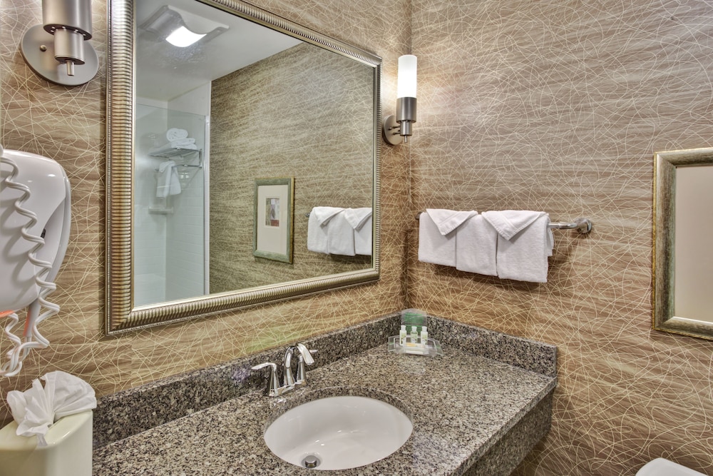 Holiday Inn Detroit Metro Airport by IHG — Hotel rooms in Romulus, Michigan