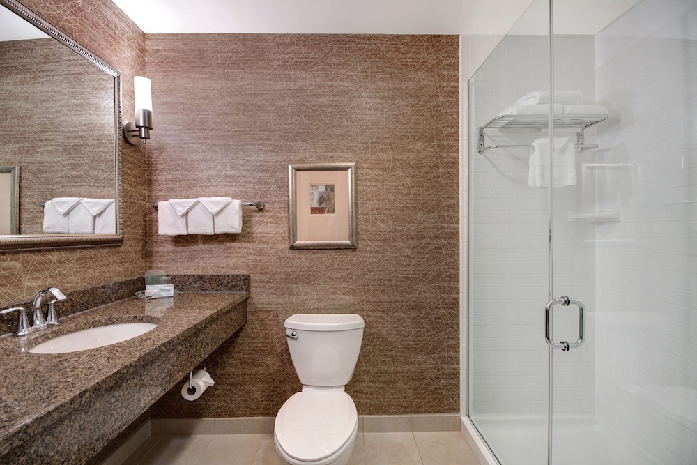 Holiday Inn Detroit Metro Airport by IHG — Hotel rooms in Romulus, Michigan