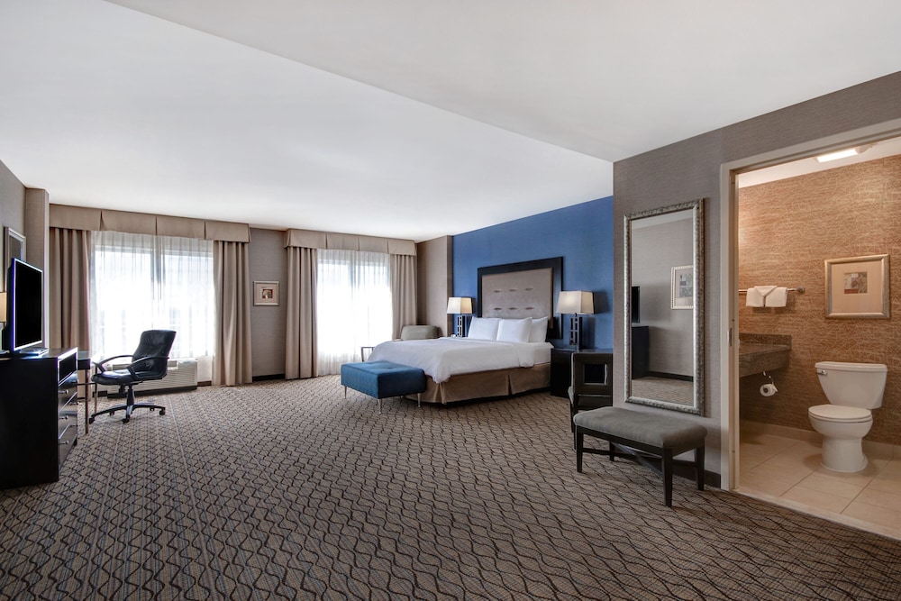 Holiday Inn Detroit Metro Airport by IHG — Hotel rooms in Romulus, Michigan