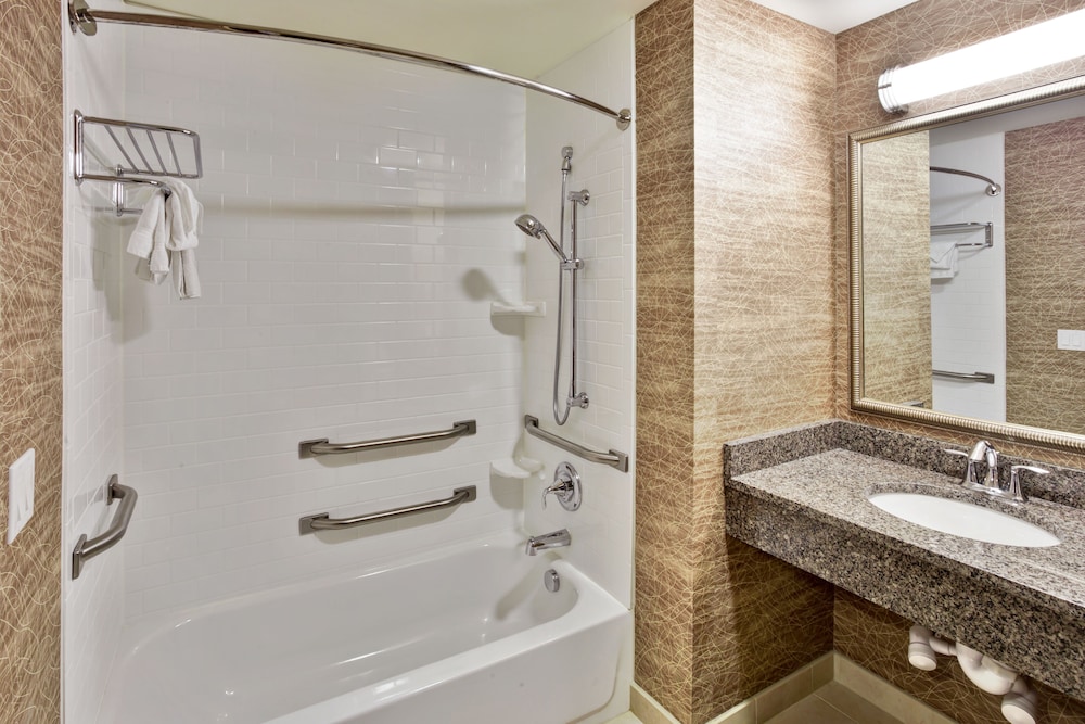 Holiday Inn Detroit Metro Airport by IHG — Hotel rooms in Romulus, Michigan