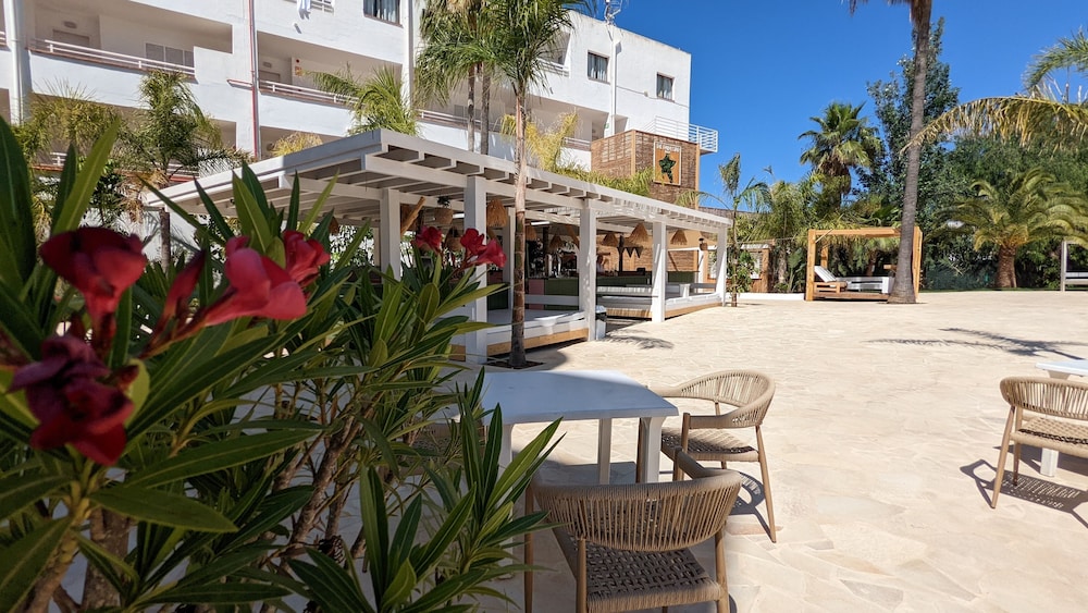 The Palm Star Ibiza - Adults Only — Restaurant & bars in San Antonio, Balearic Islands