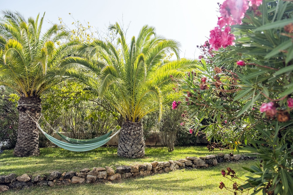 The Palm Star Ibiza - Adults Only — Attractions in the area in San Antonio, Balearic Islands
