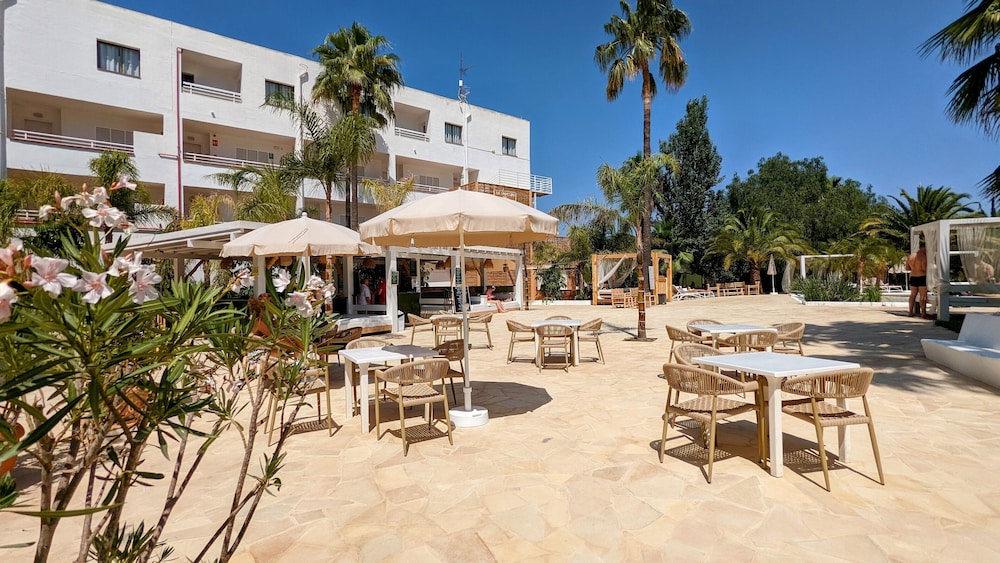 The Palm Star Ibiza - Adults Only — Restaurant & bars in San Antonio, Balearic Islands