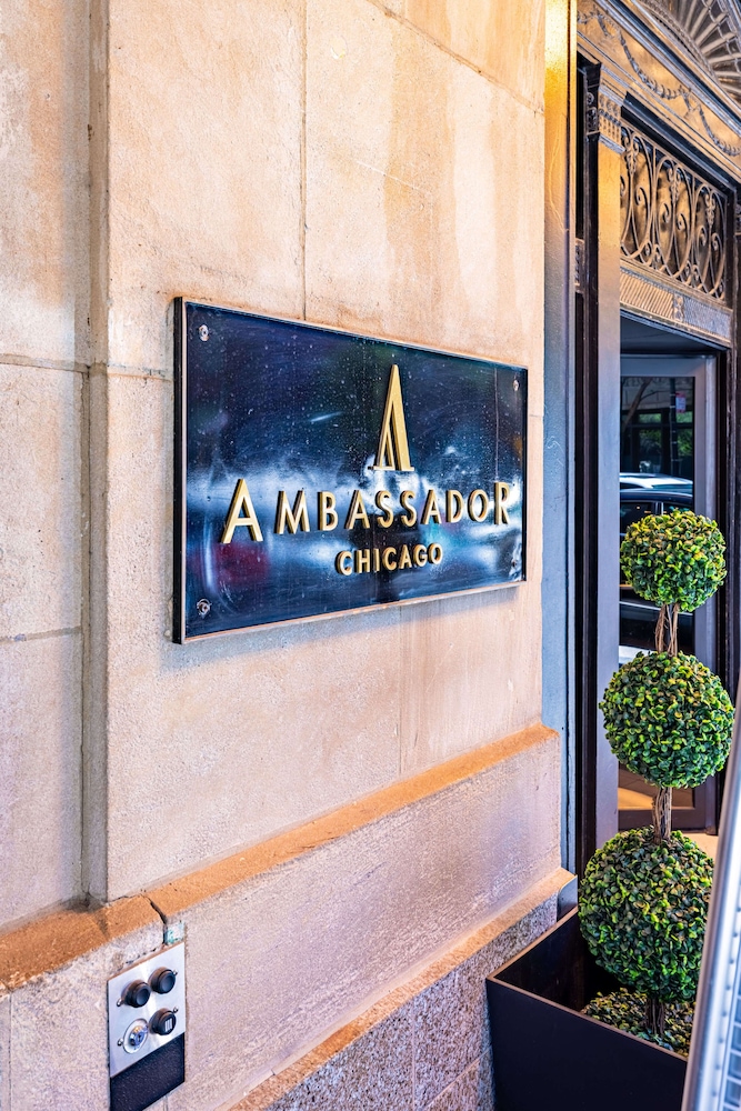 The Chicago Hotel Collection Ambassador Gold Coast — Hotel building in Chicago, Illinois