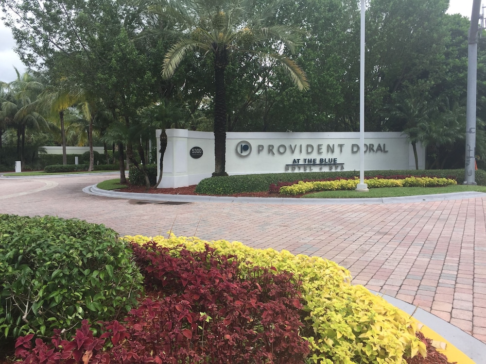Provident Doral At The Blue - zdjęcie 4
