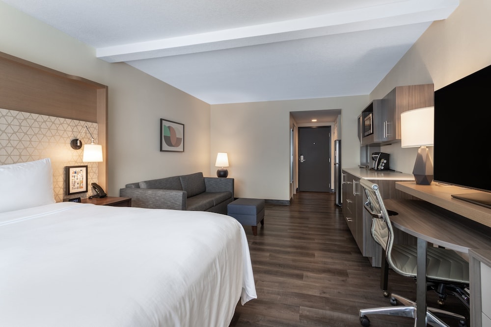 Holiday Inn Tampa North by IHG — Hotel rooms in Tampa, Florida