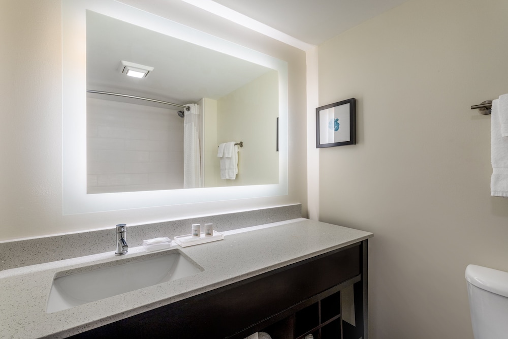 Holiday Inn Tampa North by IHG — Hotel rooms in Tampa, Florida