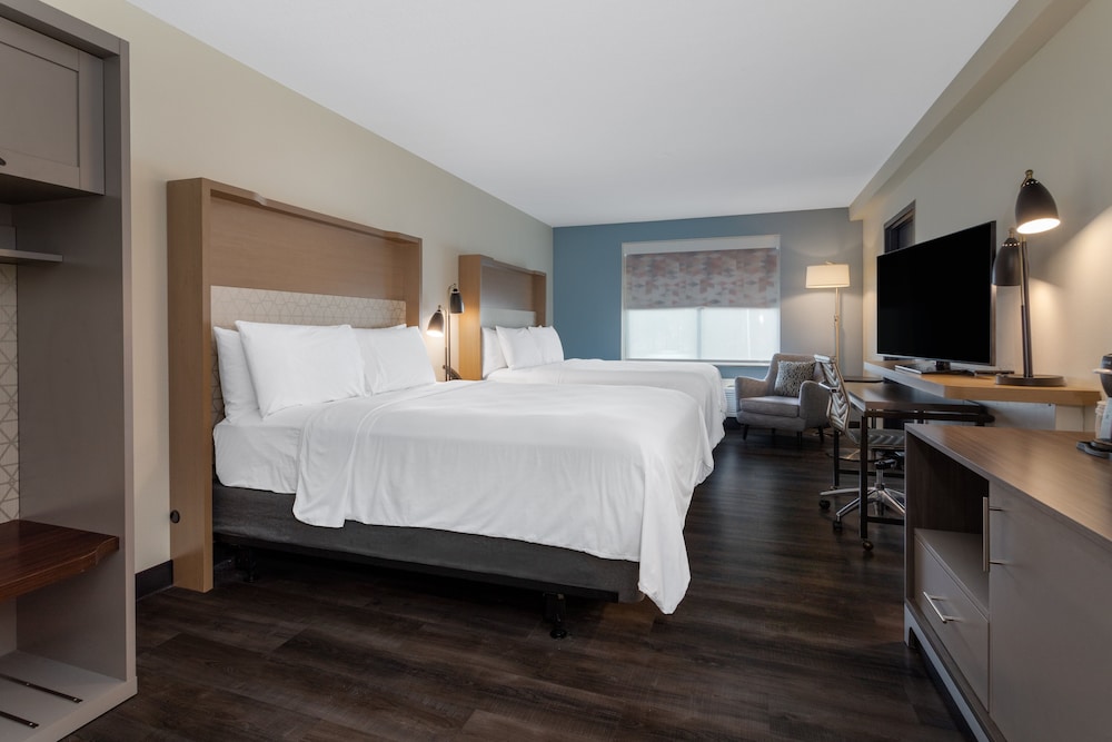 Holiday Inn Tampa North by IHG — Hotel rooms in Tampa, Florida