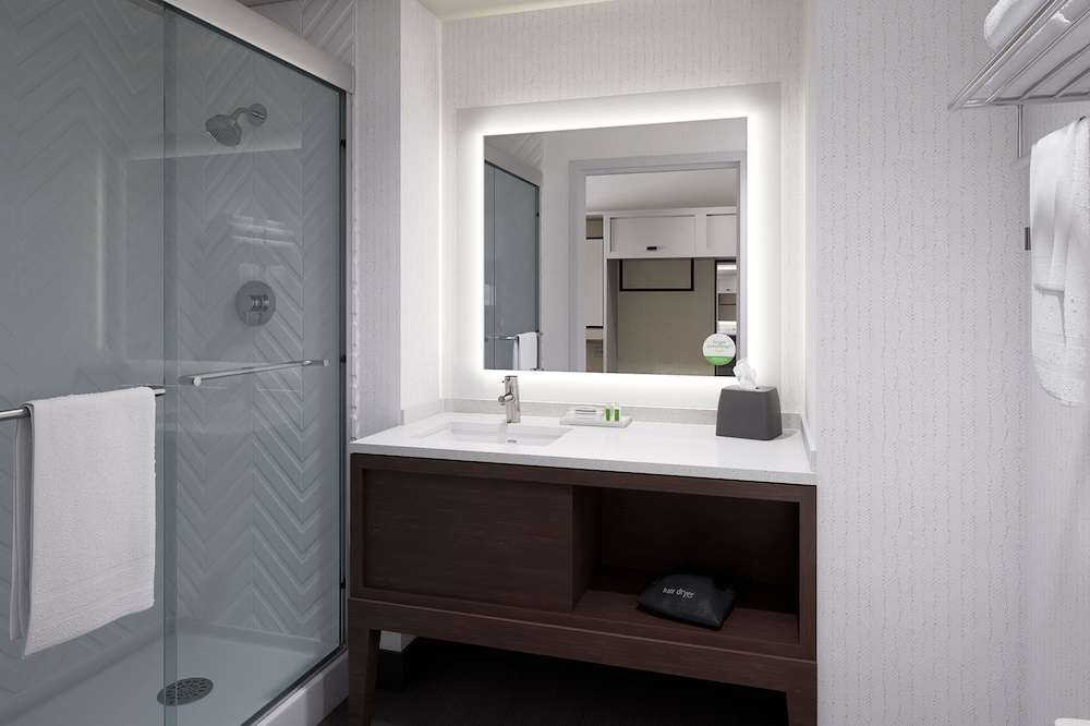 Holiday Inn Tampa North by IHG — Hotel rooms in Tampa, Florida