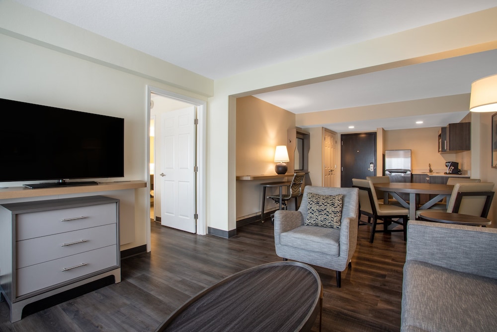 Holiday Inn Tampa North by IHG — Hotel rooms in Tampa, Florida