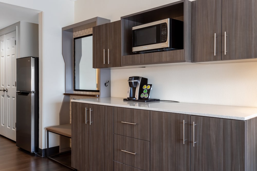 Holiday Inn Tampa North by IHG — Hotel rooms in Tampa, Florida