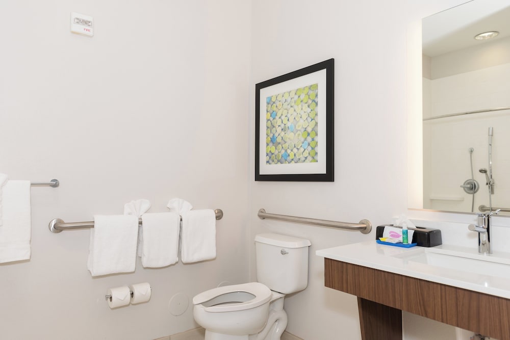 Holiday Inn Express & Suites Tampa USF Busch Gardens by IHG — Hotel rooms in Tampa, Florida