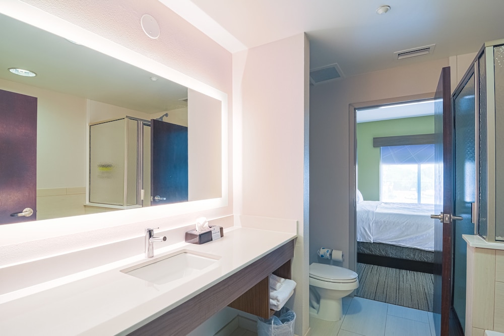 Holiday Inn Express & Suites Tampa USF Busch Gardens by IHG — Hotel rooms in Tampa, Florida