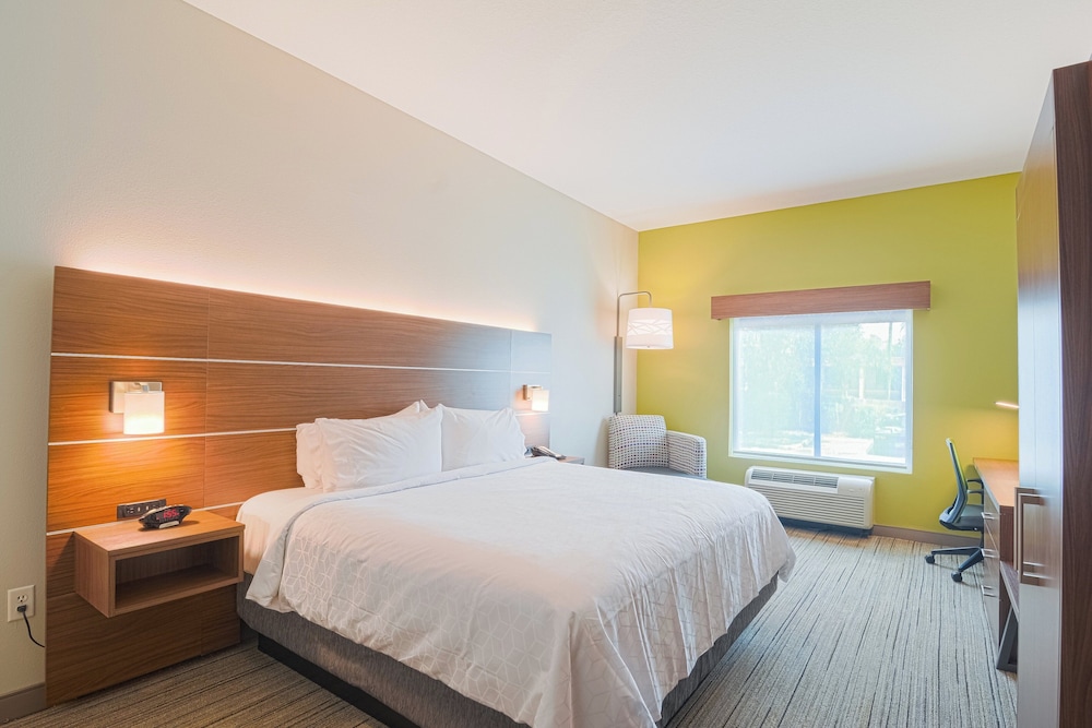 Holiday Inn Express & Suites Tampa USF Busch Gardens by IHG — Hotel rooms in Tampa, Florida