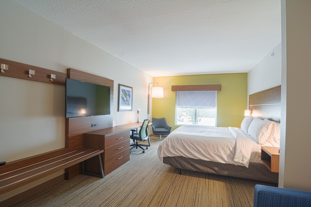 Holiday Inn Express & Suites Tampa USF Busch Gardens by IHG — Hotel rooms in Tampa, Florida