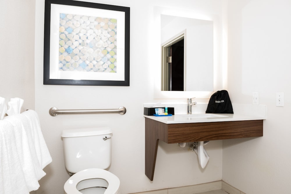 Holiday Inn Express & Suites Tampa USF Busch Gardens by IHG — Hotel rooms in Tampa, Florida