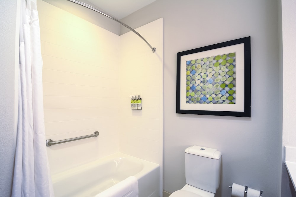 Holiday Inn Express & Suites Tampa USF Busch Gardens by IHG — Hotel rooms in Tampa, Florida