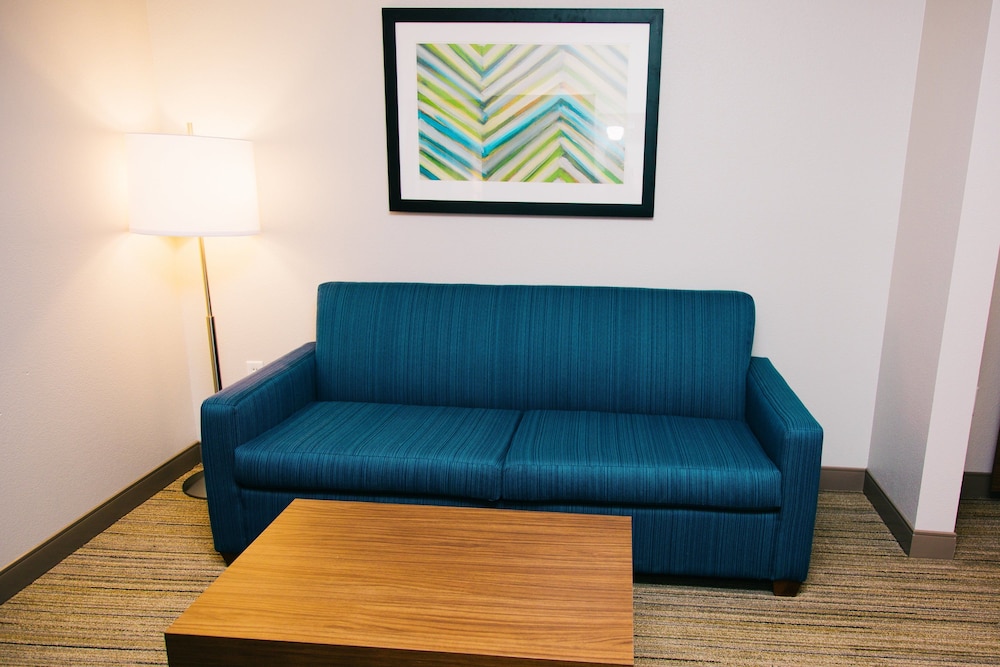 Holiday Inn Express & Suites Tampa USF Busch Gardens by IHG — Hotel rooms in Tampa, Florida