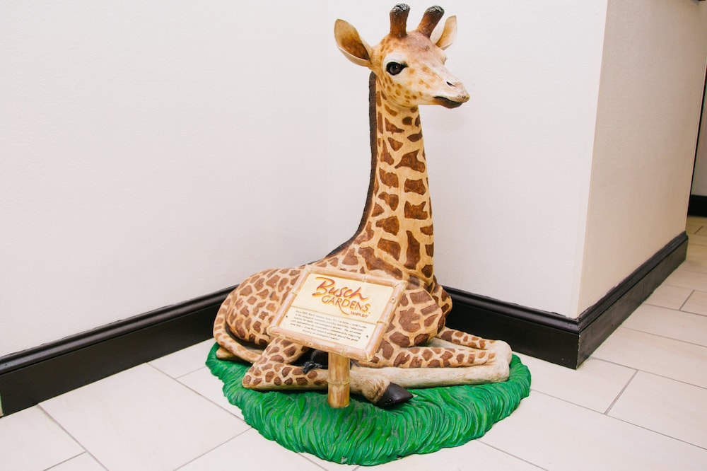 Holiday Inn Express & Suites Tampa USF Busch Gardens by IHG — Attractions in the area in Tampa, Florida