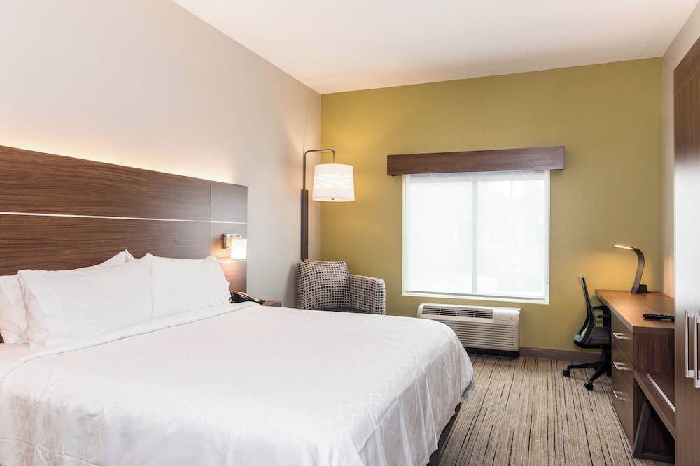 Holiday Inn Express & Suites Tampa USF Busch Gardens by IHG — Hotel rooms in Tampa, Florida