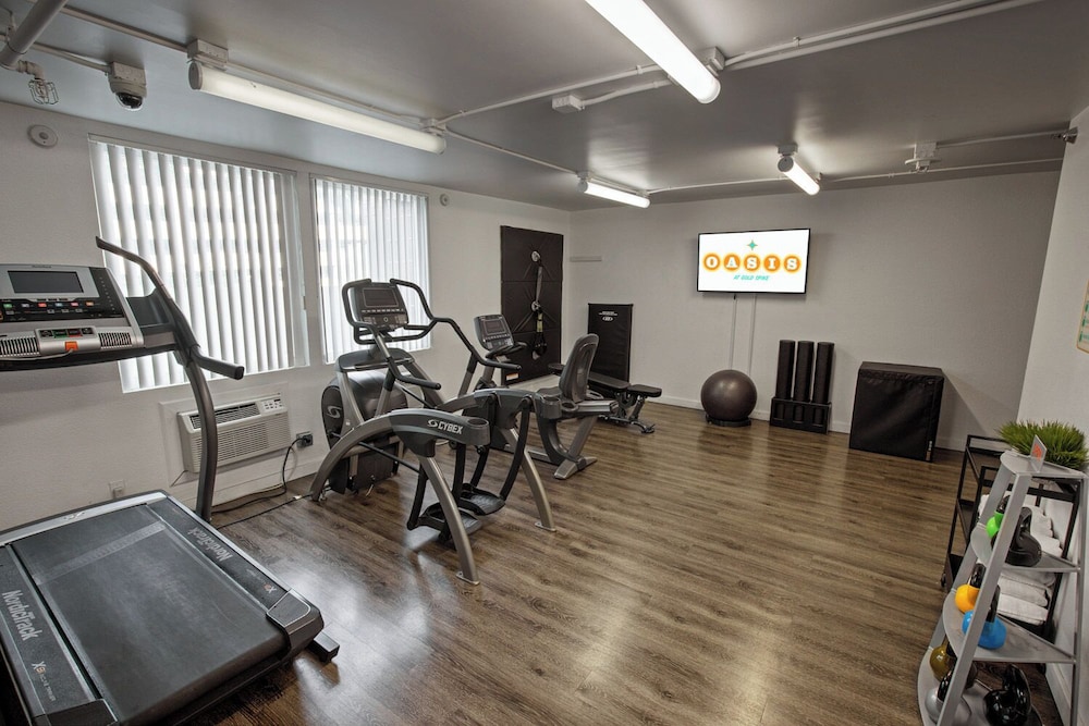Oasis at Gold Spike — Sports & recreation in Las Vegas, Nevada