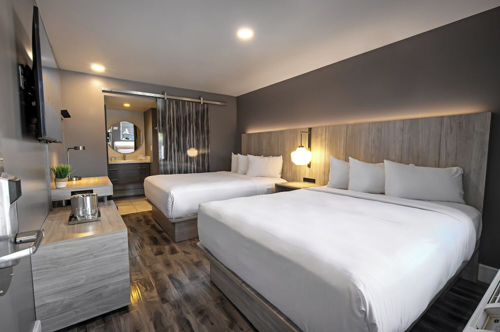 Oasis at Gold Spike — Hotel rooms in Las Vegas, Nevada