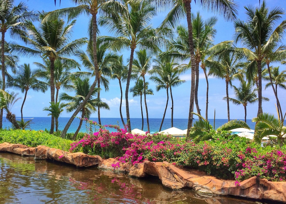 Grand Wailea Maui, A Waldorf Astoria Resort — Beach in Kula, Hawaii