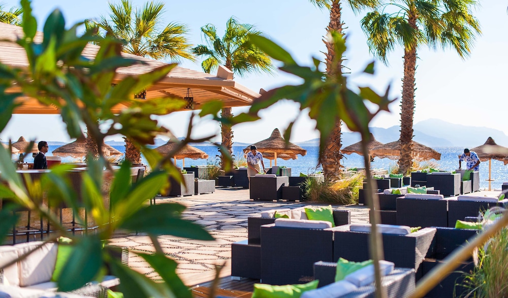 Baron Resort Sharm El Sheikh — Restaurant & bars in Sharm El Sheikh, Red Sea