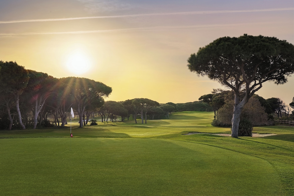 Pine Cliffs Gardens — Sports & recreation in Albufeira, Faro