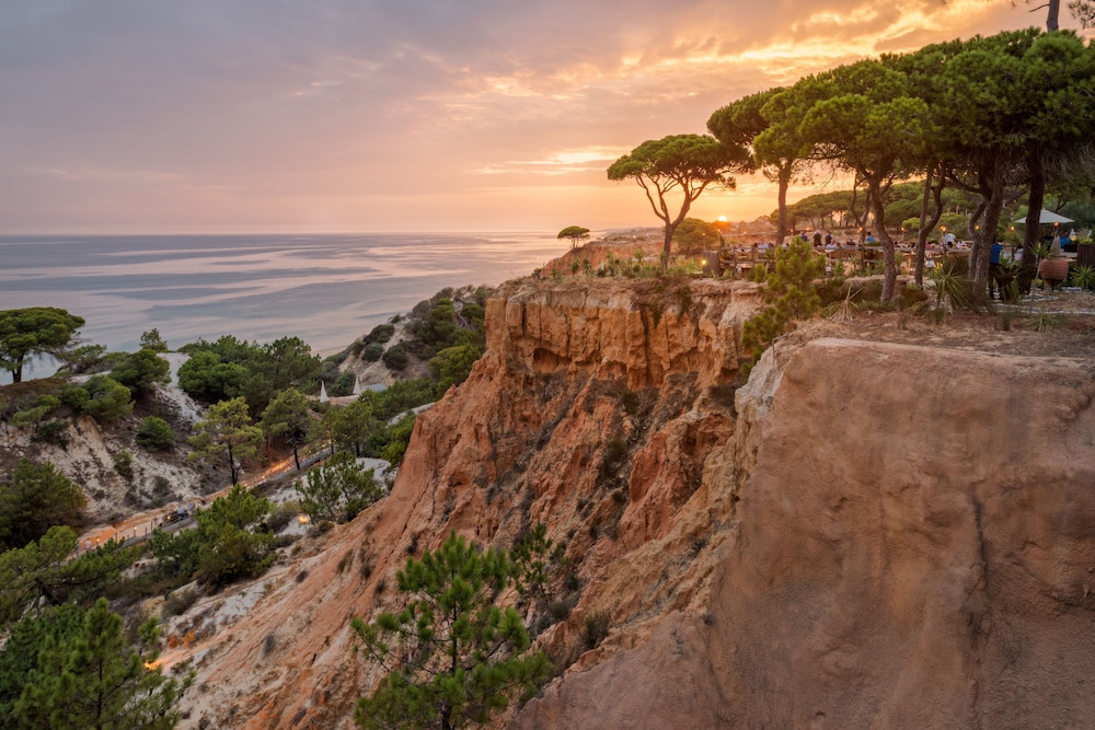 Pine Cliffs Gardens — Attractions in the area in Albufeira, Faro