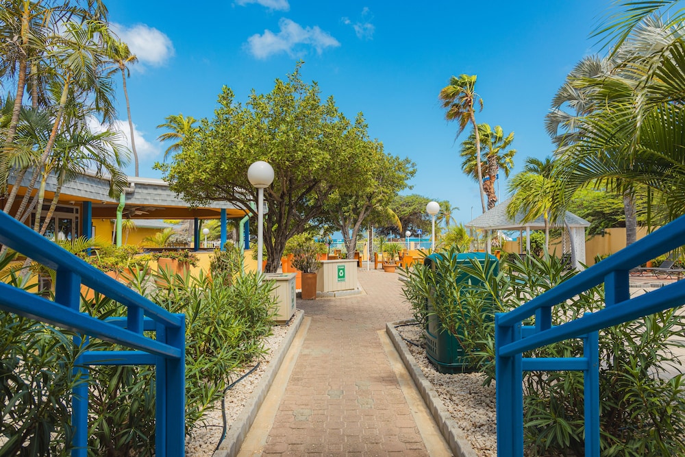MVC Eagle Beach — Restaurant & bars in Oranjestad, Aruba