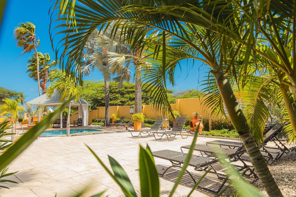 MVC Eagle Beach — Swimming pool in Oranjestad, Aruba