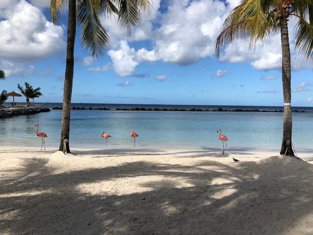 Renaissance Wind Creek Aruba Resort — Beach in Oranjestad, Aruba