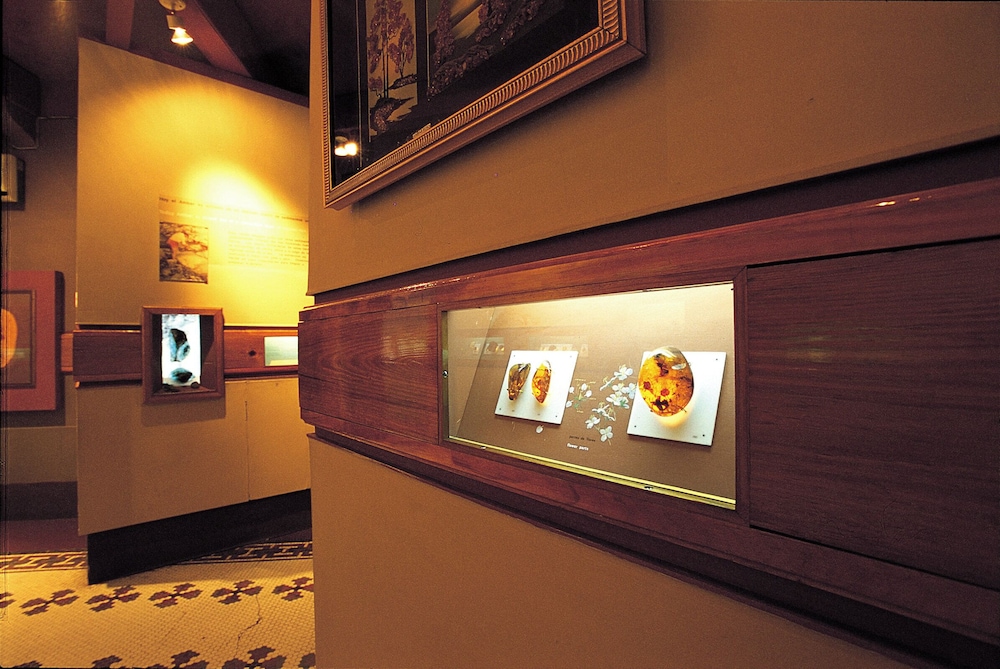 Crowne Plaza Santo Domingo by IHG — Attractions in the area in Santo Domingo, Distrito Nacional