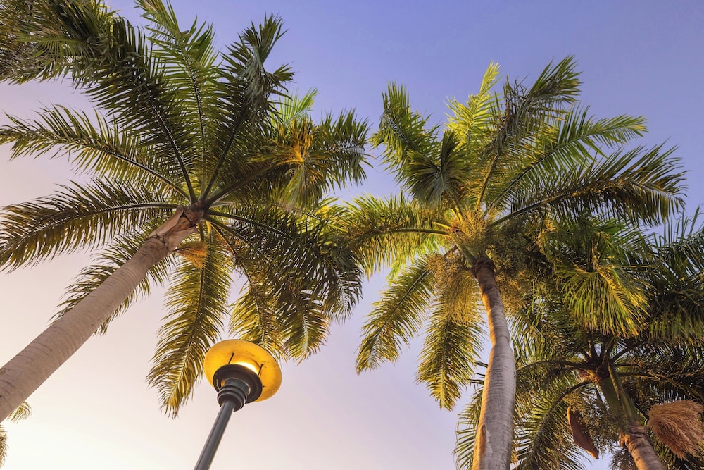 Renaissance Santo Domingo Jaragua Hotel & Casino — Beach in Santo Domingo, Distrito Nacional