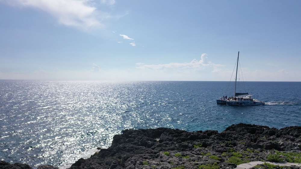 Tensing Pen Hotel — Attractions in the area in Negril