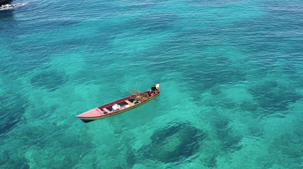 Tensing Pen Hotel — Attractions in the area in Negril