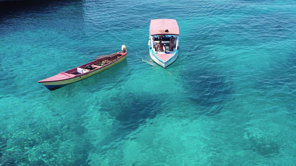 Tensing Pen Hotel — Attractions in the area in Negril