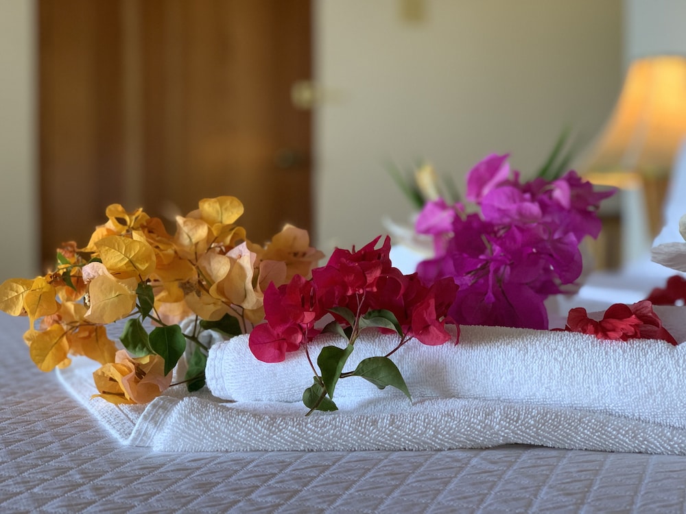 Tensing Pen Hotel — Hotel rooms in Negril