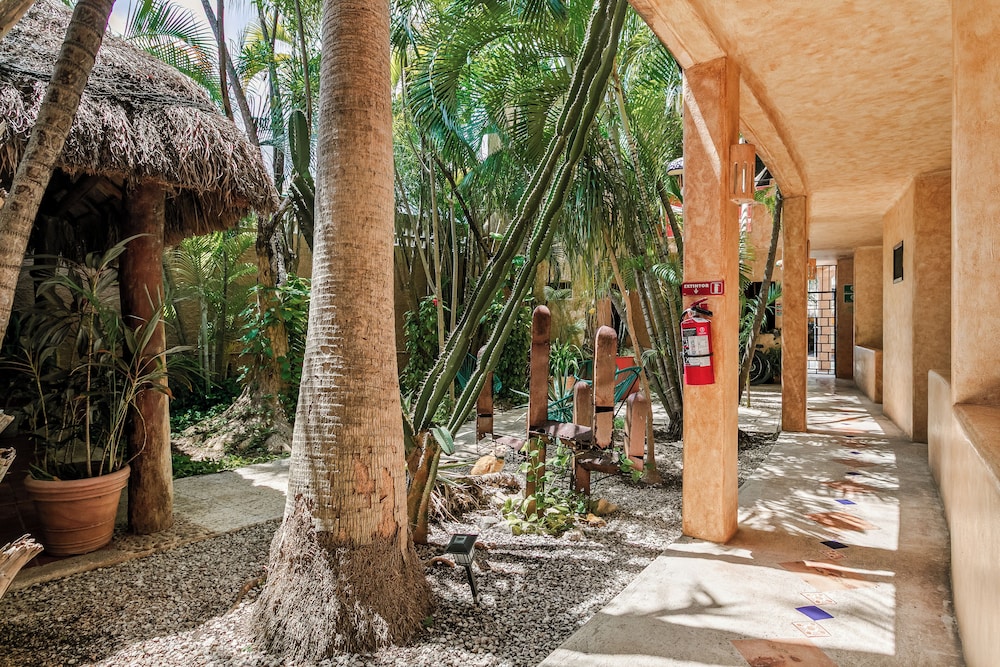 Hotel Barrio Latino — Attractions for children in Playa del Carmen, Quintana Roo