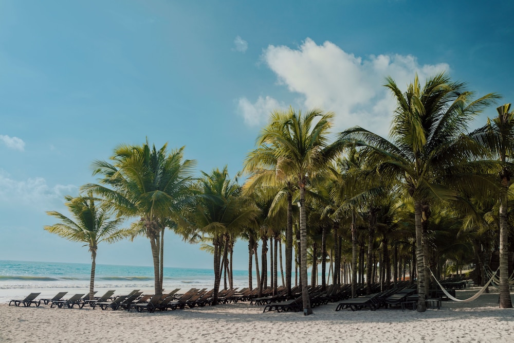 Catalonia Playa Maroma – All Inclusive — Beach in Playa del Carmen, Quintana Roo
